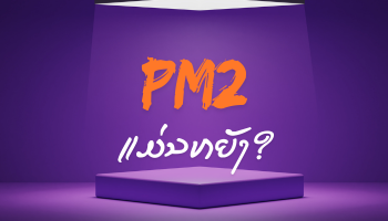 ນຳໃຊ້ PM2 ສຳລັບສາຍ nodejs